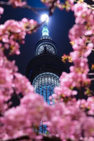 夜空を貫く花明かり