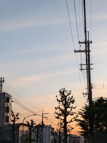 電線と夕焼けのコントラスト