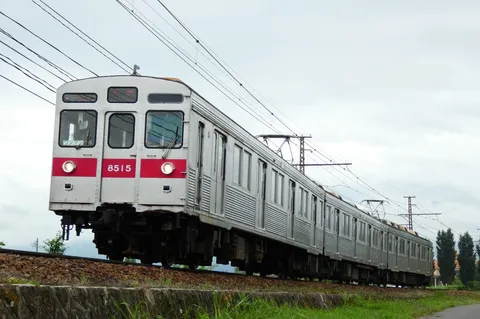 日常を切り取る、静かな列車の旅