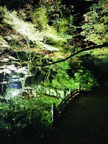 幻想的な夜の庭園