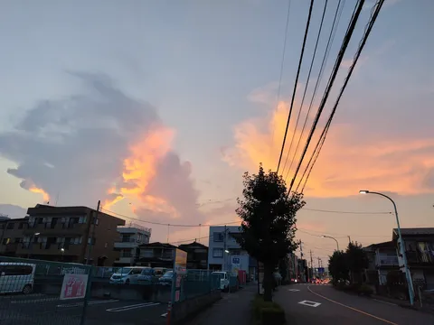 空を彩る夕焼けと電線