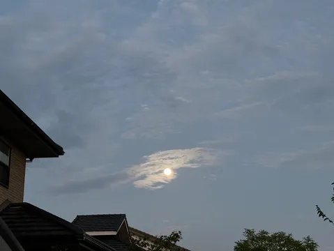 雲間から顔を出す月様