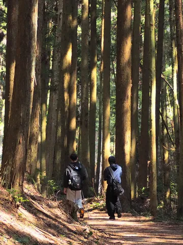 木漏れ日の中、二人でトレイル