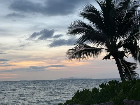 夕暮れのヤシの木と海