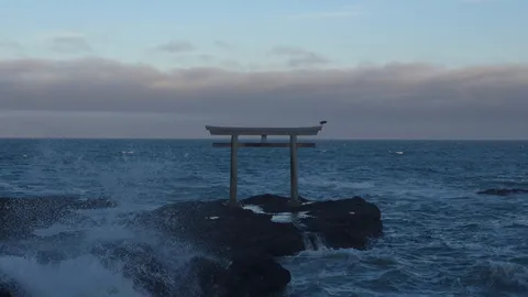 荒波に立つ鳥居と一羽の鳥