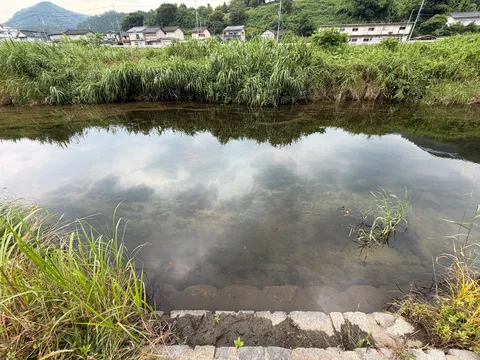 都会の静寂、緑と水辺の風景