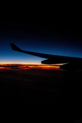 夕暮れの翼影に染まる空