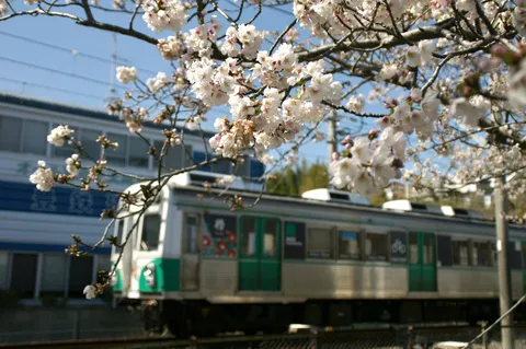 芦原