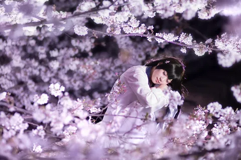 桜