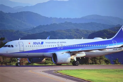 山影を背に飛ぶANA機