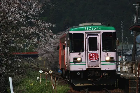 桜道をゆくローカル線