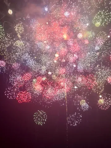 夜空に咲く、色彩のカーニバル