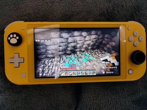ハードコアで見つけたダイヤ