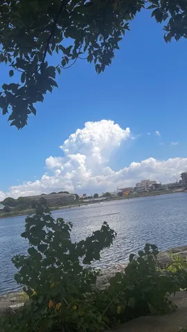 夏の入道雲と水辺の風景