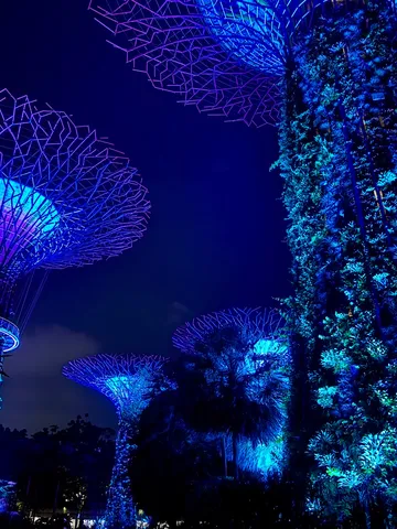 青光の樹と夜空の造形