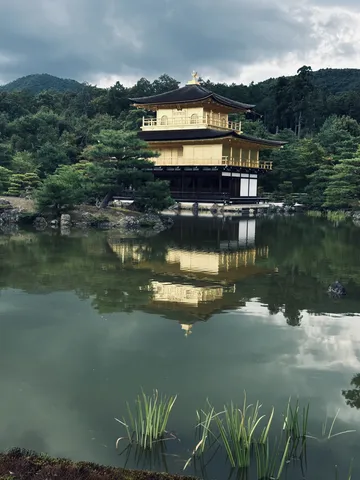 水面に映る黄金の輝き