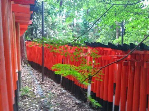 朱色の回廊、緑の息吹