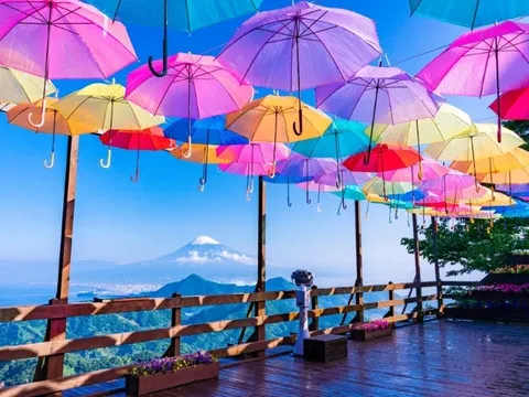 傘が主役の絶景劇場