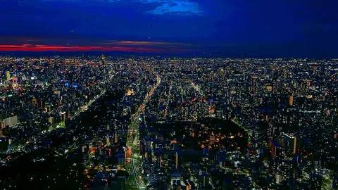 都会の夜景、地平線まで光の海