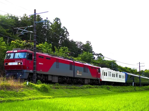 緑と赤のコントラスト、旅の始まり