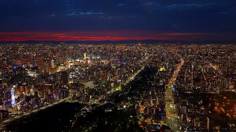 都市の夜は、光のカーニバル