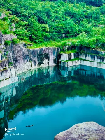 緑と水の静かな鏡