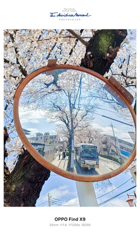 鏡に映る桜の街角