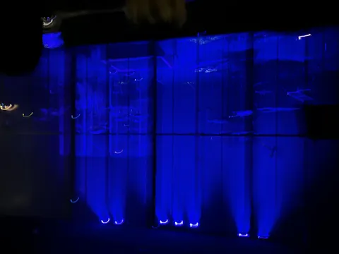 青い光が演出するステージ