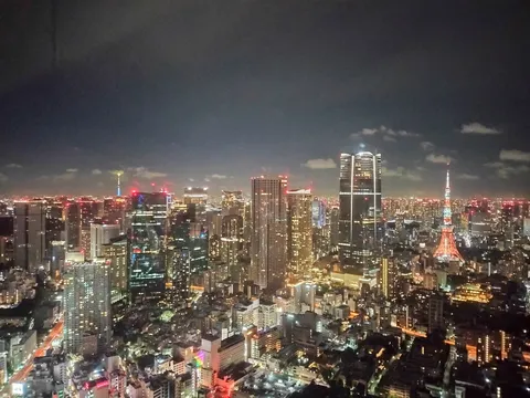 都会の夜景、光の絨毯