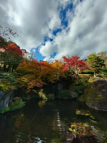 紅葉と水鏡、錦鯉の共演