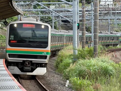 線路沿いの緑と帯色の対話