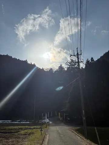 太陽の筋、電線、そして森の道