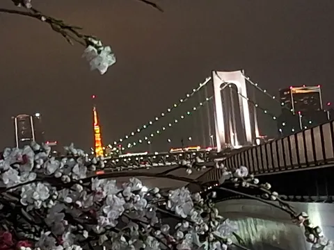 夜景に咲く、儚い花の光
