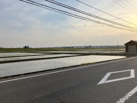 水田に映る空と田舎道