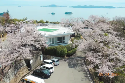 満開の桜と水辺の風景
