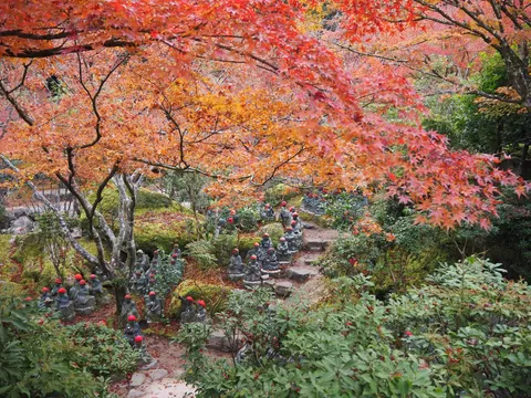 秋色の祈りの庭景