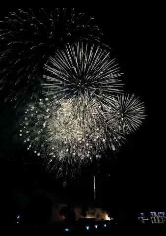 夜空に咲き誇る大輪の花火