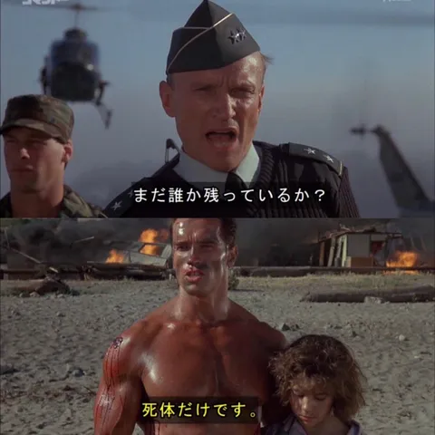 無慈悲な生存確認