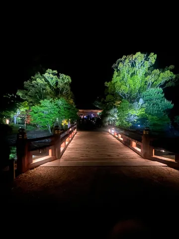夜の庭園、光と影の誘い