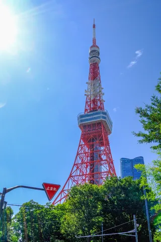 晴れ渡る空と東京タワー