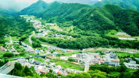 鮮やかな緑に染まる里山の風景