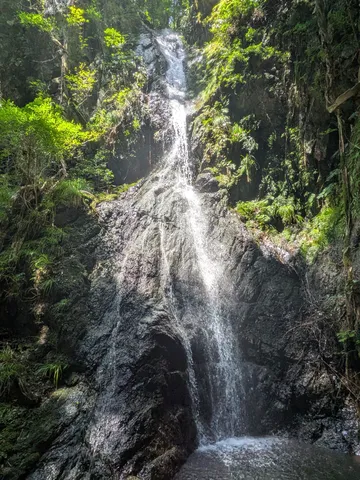 木漏れ日の滝