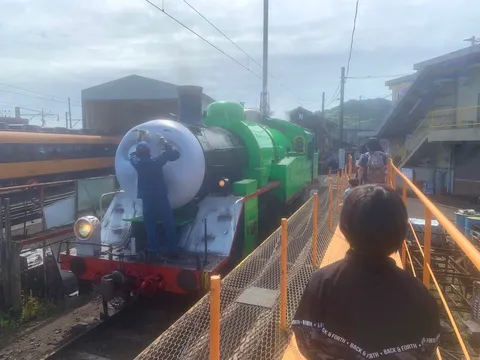パーシー、お掃除中？
