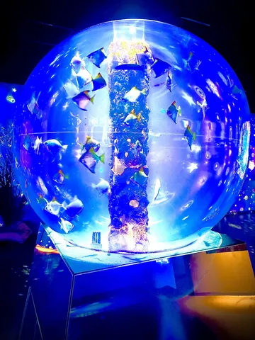 青い光と魚たちの水中散歩