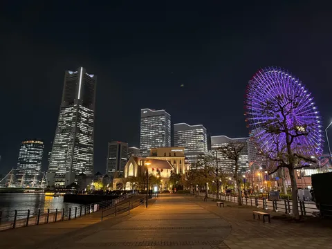 紫夜の港、光の散歩道