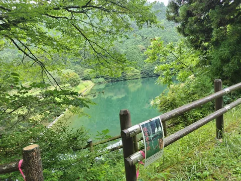 森の奥に広がる静寂の湖