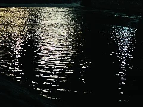 水面に宿る夜の光
