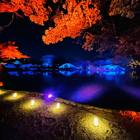 水面に映る幻想の彩り