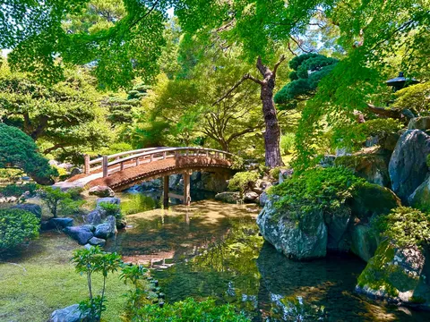 新緑のアーチ、静寂の小川