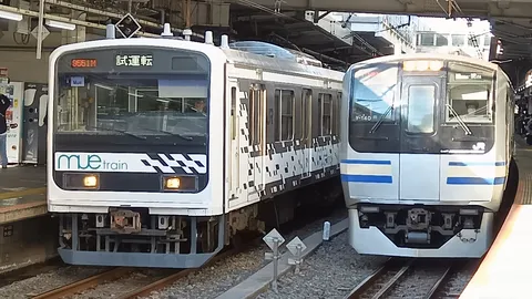 列車の並びが作る静かな朝